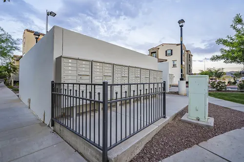 Copper leaf in Phoenix, Arizona