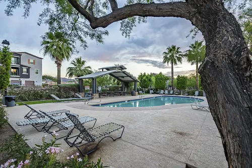 Copper leaf in Phoenix, Arizona