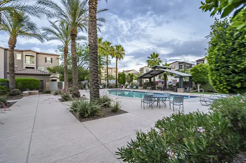 Copper leaf in Phoenix, Arizona