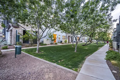 Copper leaf in Phoenix, Arizona
