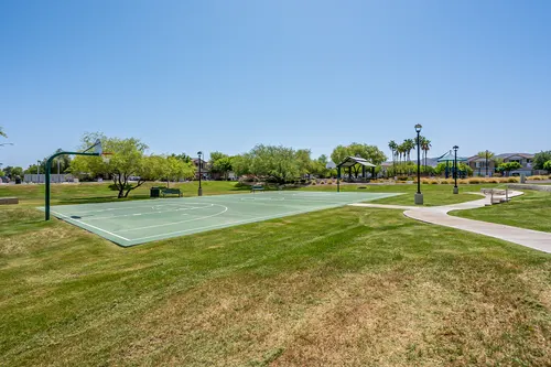 Copper leaf in Phoenix, Arizona