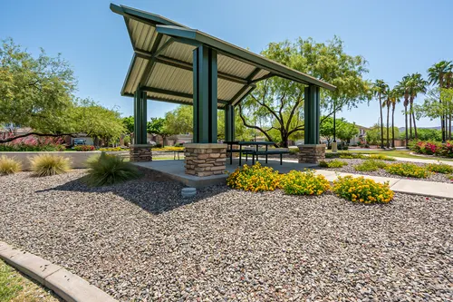 Copper leaf in Phoenix, Arizona