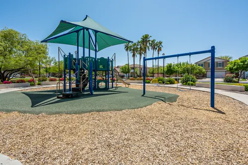 Copper leaf in Phoenix, Arizona