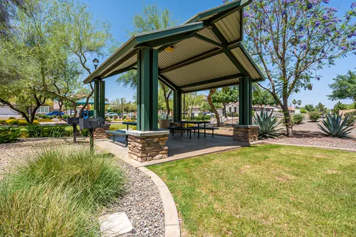 Copper leaf in Phoenix, Arizona