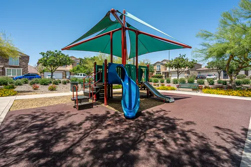 Copper leaf in Phoenix, Arizona