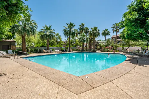Copper leaf in Phoenix, Arizona
