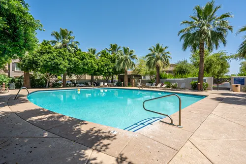 Copper leaf in Phoenix, Arizona