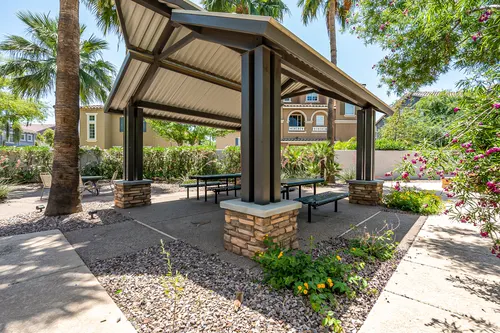 Copper leaf in Phoenix, Arizona