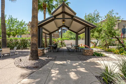 Copper leaf in Phoenix, Arizona