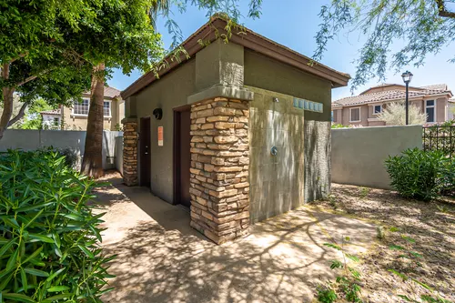 Copper leaf in Phoenix, Arizona