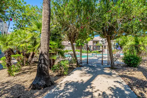 Coridillera in Phoenix, Arizona