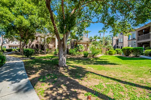 Coridillera in Phoenix, Arizona
