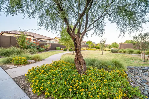 Desert Ridge Estates at Ridgeview in Phoenix, Arizona