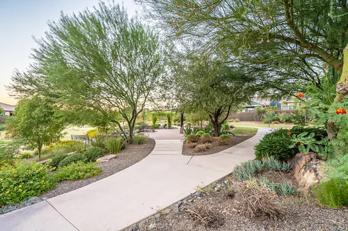 Desert Ridge Estates at Ridgeview in Phoenix, Arizona