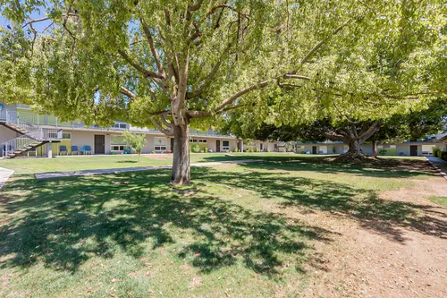 Greenview in Phoenix, Arizona