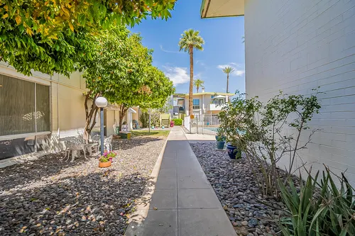 Mary D in Phoenix, Arizona