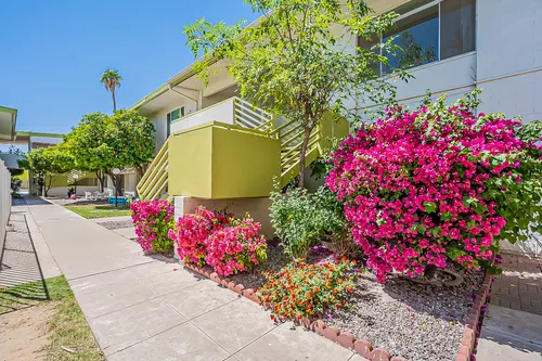 Mary D in Phoenix, Arizona