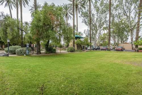 Palma Viva in Phoenix, Arizona