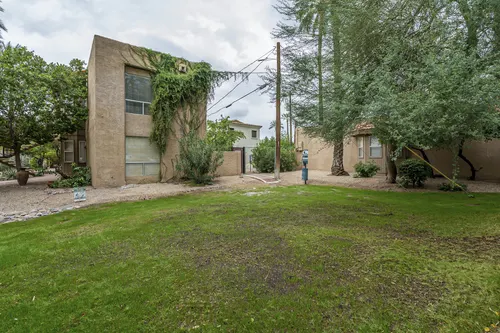 Palma Viva in Phoenix, Arizona