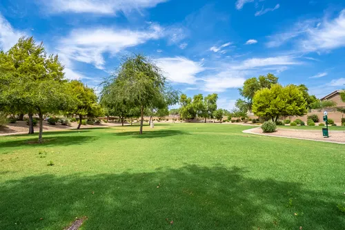Park at Terralea in Phoenix, Arizona