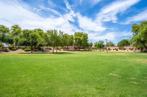 Park at Terralea in Phoenix, Arizona