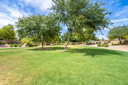 Park at Terralea in Phoenix, Arizona