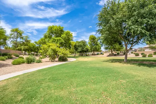 Park at Terralea in Phoenix, Arizona