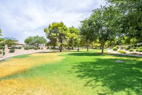 Park at Terralea in Phoenix, Arizona