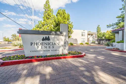 Phoenician Pines in Phoenix, Arizona