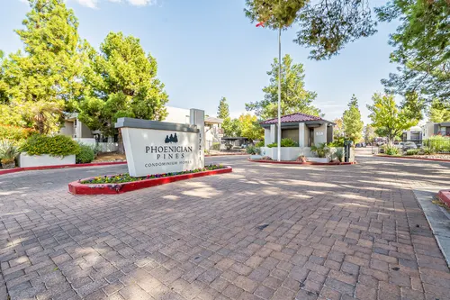 Phoenician Pines in Phoenix, Arizona