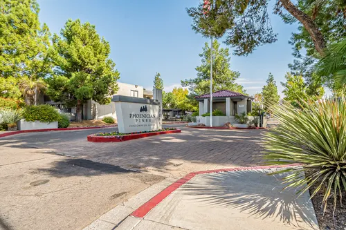 Phoenician Pines in Phoenix, Arizona
