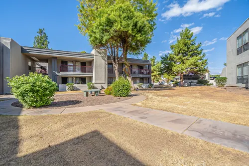 Phoenician Pines in Phoenix, Arizona