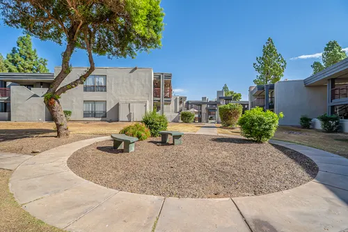 Phoenician Pines in Phoenix, Arizona
