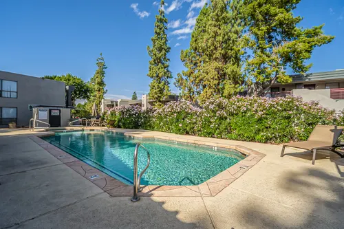Phoenician Pines in Phoenix, Arizona
