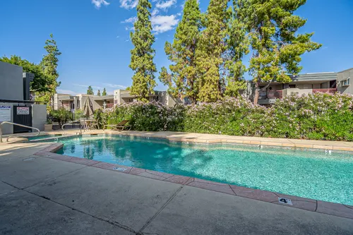 Phoenician Pines in Phoenix, Arizona