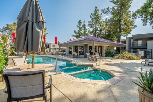 Phoenician Pines in Phoenix, Arizona