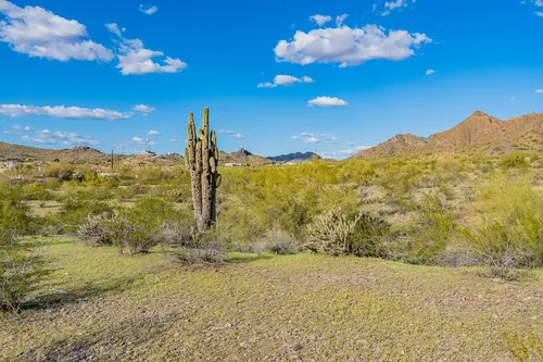 Phoenix Mountain Preserve in Phoenix, Arizona