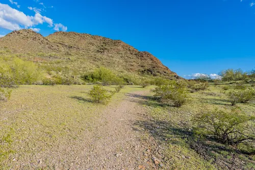 Phoenix Mountain Preserve in Phoenix, Arizona