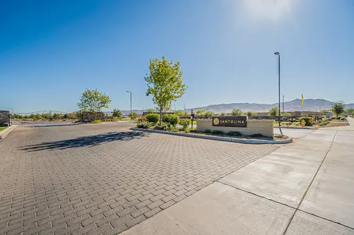 Santolina in Phoenix, Arizona