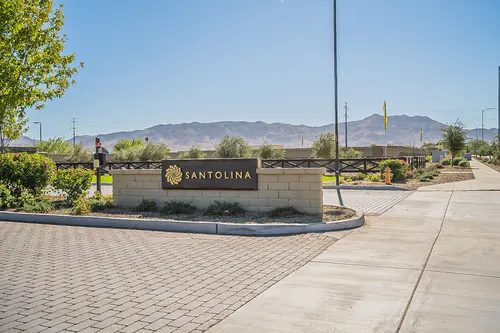 Santolina in Phoenix, Arizona