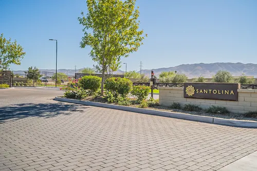 Santolina in Phoenix, Arizona
