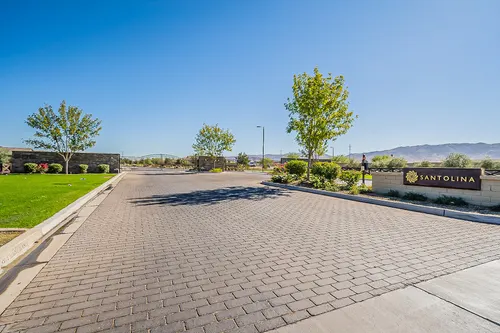 Santolina in Phoenix, Arizona