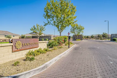 Santolina in Phoenix, Arizona