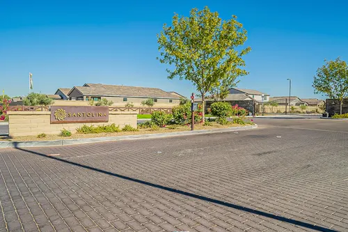 Santolina in Phoenix, Arizona