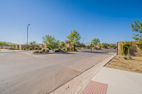 Santolina in Phoenix, Arizona