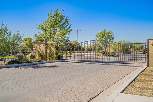 Santolina in Phoenix, Arizona