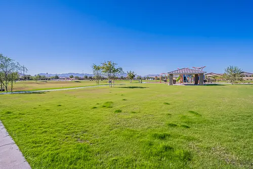 Santolina in Phoenix, Arizona