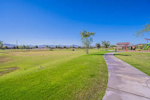 Santolina in Phoenix, Arizona
