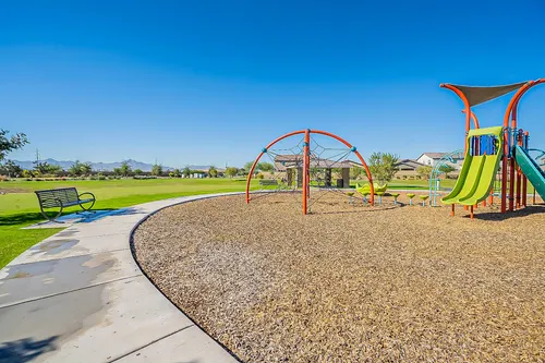 Santolina in Phoenix, Arizona