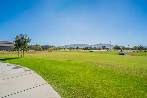 Santolina in Phoenix, Arizona